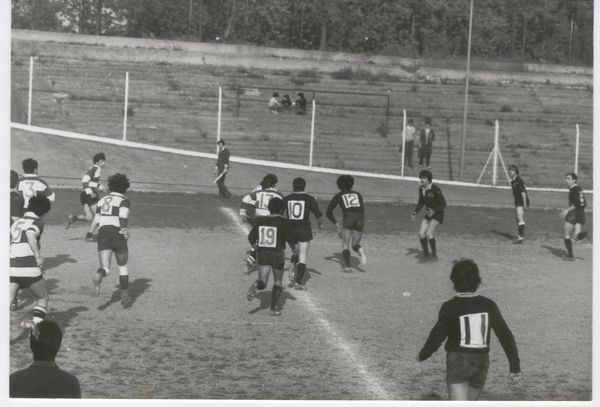 Torneo Ferrara, anno 1980